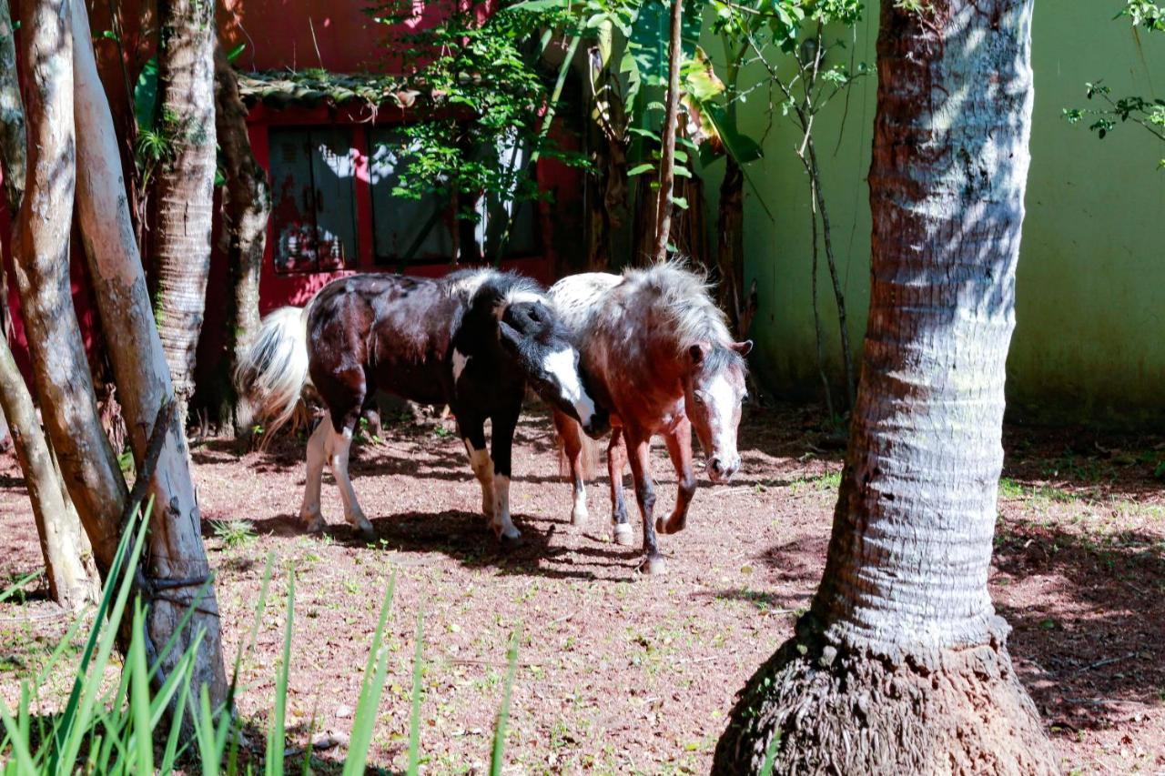 Indaiá Praia Hotel Bertioga Bagian luar foto
