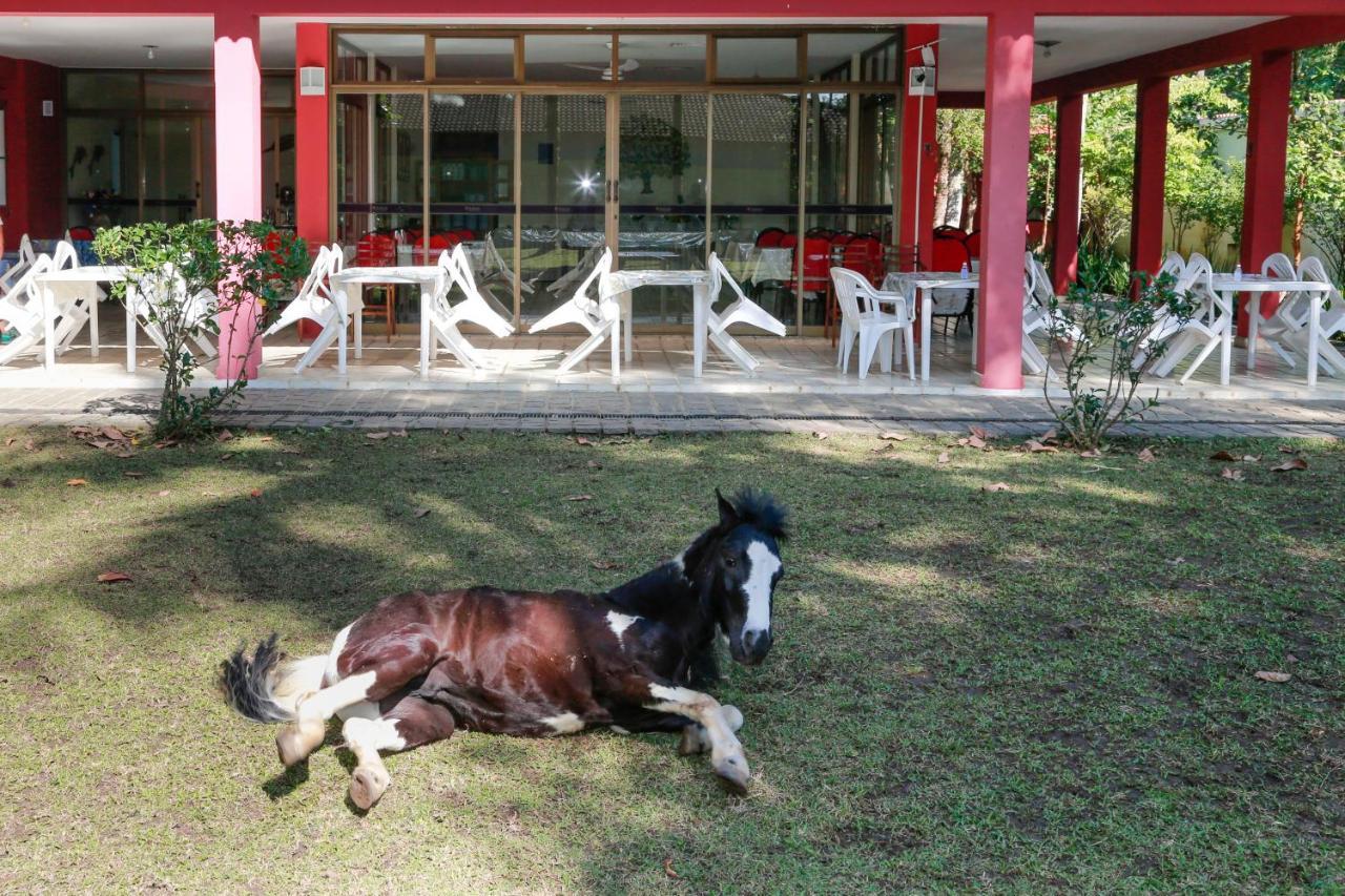 Indaiá Praia Hotel Bertioga Bagian luar foto